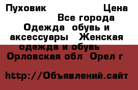 Пуховик Calvin Klein › Цена ­ 11 500 - Все города Одежда, обувь и аксессуары » Женская одежда и обувь   . Орловская обл.,Орел г.